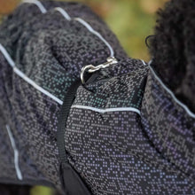 Load image into Gallery viewer, Limoux - Lightweight Rainbow Reflective Dog Coat
