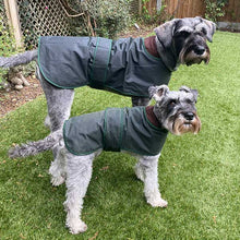 Load image into Gallery viewer, little and large schnauzer jackets wax
