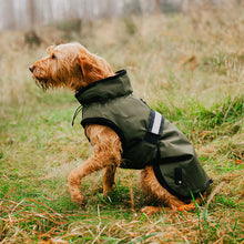 Load image into Gallery viewer, 3-in-1 Dog Coat
