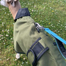 Load image into Gallery viewer, whippet coat for use with harness underneath
