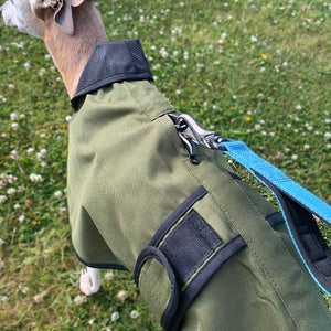 whippet coat for use with harness underneath