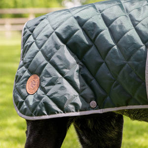 country dog jacket