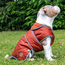 Load image into Gallery viewer, padded, quilted dog coat
