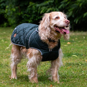 quilted green dog coat with back leg straps