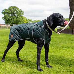 green dog coat with belly protection