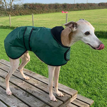 Greyhound coat with harness hole hotsell