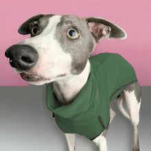 Load image into Gallery viewer, Fleece Sighthound Base-Layer Coat with Underbelly and Snood
