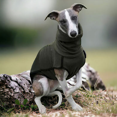 whippet jumper base layer in green