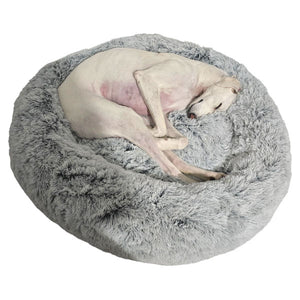 best whippet beds