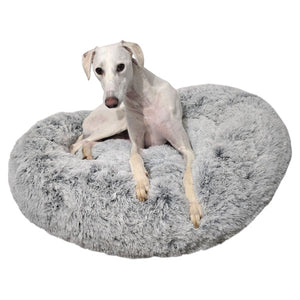 best greyhound beds