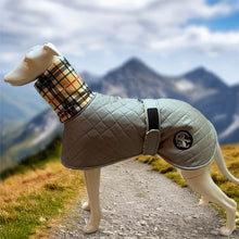 Load image into Gallery viewer, quilted whippet coat with harness hole
