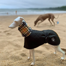 Load image into Gallery viewer, quilted greyhound coat with snood and harness hole
