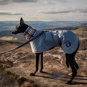 mountain view lurcher coats