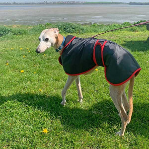 lurcher coat with harness hole for winter with zip