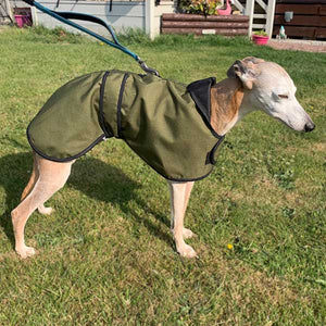 green whippet dog coat with harness hole for summer use