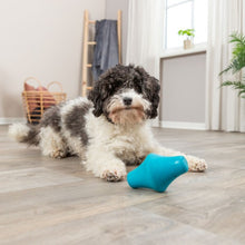 Load image into Gallery viewer, Natural Rubber Dog Snack Toys
