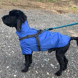 cockapoo lightweight summer dog coat with  harness