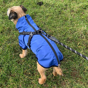 dog coat with waterproof mesh lining