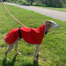 Load image into Gallery viewer, Dry-Light Summer Sighthound Coat with Harness Hole
