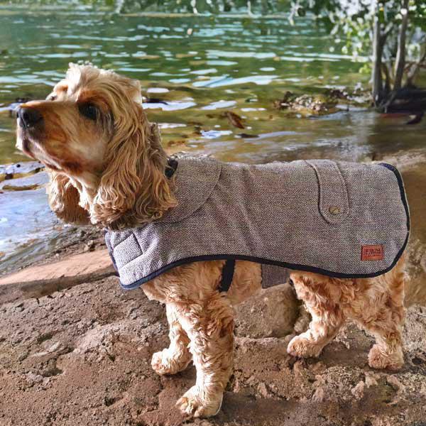tweed dog coat