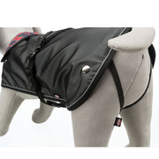 dachshund waterproof dog coat with leg straps