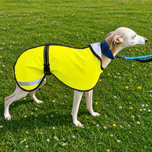 Load image into Gallery viewer, Joey the whippet wearing a bright yellow reflective coat on a grassy field
