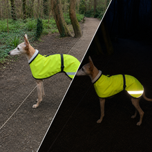 Load image into Gallery viewer, Sighthound wearing a bright yellow reflective jacket in a forest setting
