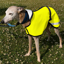 Load image into Gallery viewer, whippet wearing a bright yellow reflective jacket in a grassy field
