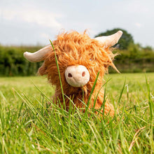 Load image into Gallery viewer, Fergus Highland Cow Dog Toy
