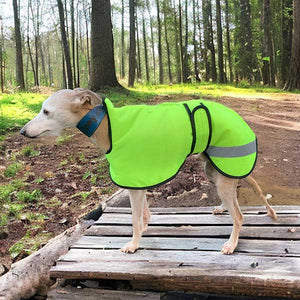 waterproof reflective winter greyhound coat