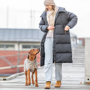 waterproof dog coat - husum from DryDogs