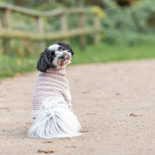 Load image into Gallery viewer, Norwood Pullover Knitted Dog Jumper
