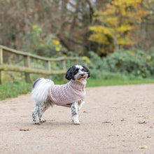 Load image into Gallery viewer, Norwood Pullover Knitted Dog Jumper
