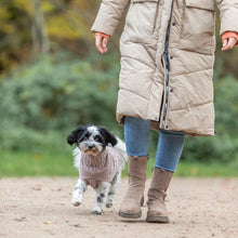 Load image into Gallery viewer, Norwood Pullover Knitted Dog Jumper
