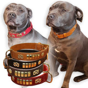 Pink staffy collars best sale