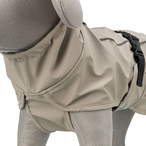 lightweight dog coat with under belly protection