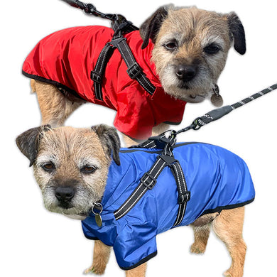 lightweight dog coat with harness