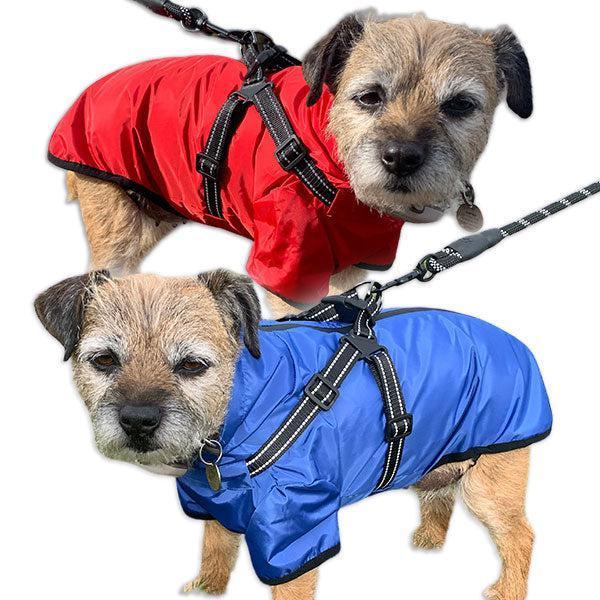 Verano Summer Dog Coat with Built in Harness - Main Image
