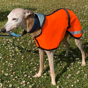 21-24''   Whippet Coat Hi-Vis yellow fleece lined (3489)