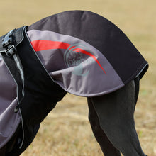 Load image into Gallery viewer, Matrix - Sighthound Coat / Fleece Lined / Underbelly / Large Harness Hole
