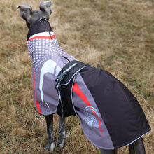 Load image into Gallery viewer, A greyhound dog viewed from behind wearing a reflective dog coat with a hood and reflective straps, standing on dry grass.
