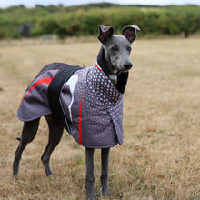 Load image into Gallery viewer, A whippet dog standing in a dry grass field wearing a protective dog coat with a grey and white polka dot pattern, black trim, and red accents.
