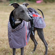 Load image into Gallery viewer, A whippet dog standing in a grassy field, wearing a protective dog coat with white polka dots, a black neck lining, and red accents
