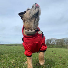 Load image into Gallery viewer, red verano dog coat by drydogs
