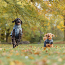 Load image into Gallery viewer, Two dogs in coats running on a grassy field, wearing dog coats, with trees in the background

