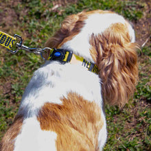 Load image into Gallery viewer, A close-up lifestyle shot of a brown and white dog outdoors on grass, wearing a yellow dog collar with black lettering 'NERVOUS' 

