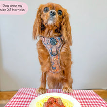 Load image into Gallery viewer, Disney Dogs Collection: Harnesses / Collars / Leads