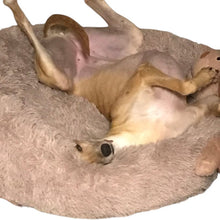 Load image into Gallery viewer, oatmeal donut bed greyhound
