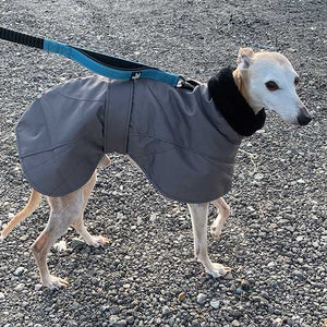 best greyhound coat for winter