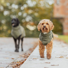 Load image into Gallery viewer, green dog coat cockapoo winter with harness hole
